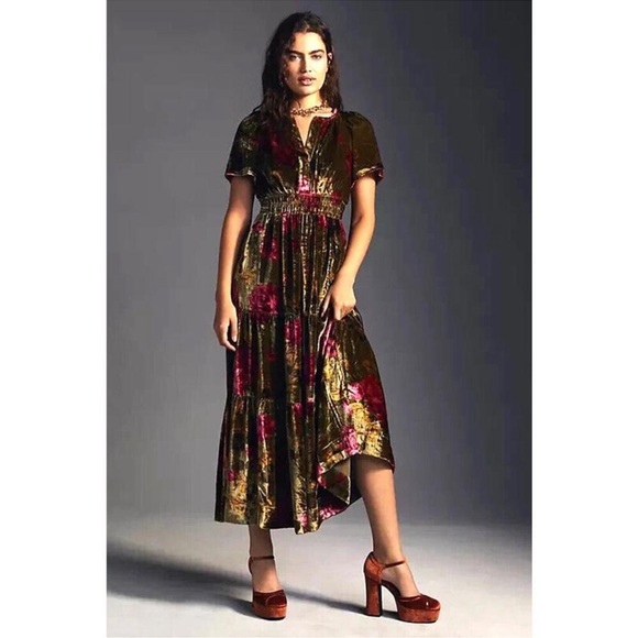 Anthropologie Somerset Dress in Floral Velvet Dress in Green and Pink - Picture 1 of 5